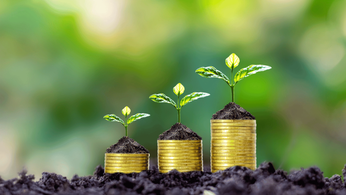 Stacks of gold coins with small plants growing on top, symbolizing a strong financial foundation and wealth growth.